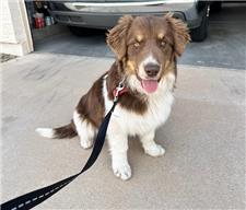 Rescue