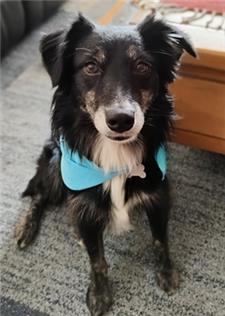 Rescue