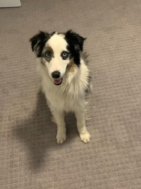 Rescue