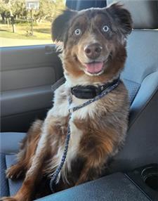 Rescue