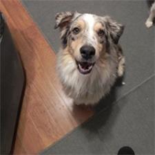 Rescue