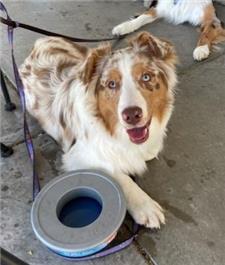 Rescue