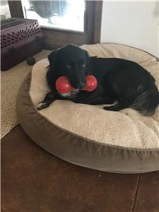 Rescue