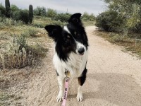 Rescue
