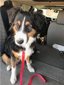 Rescue