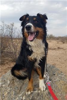 Rescue
