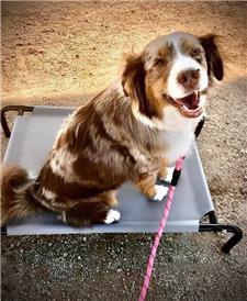 Rescue